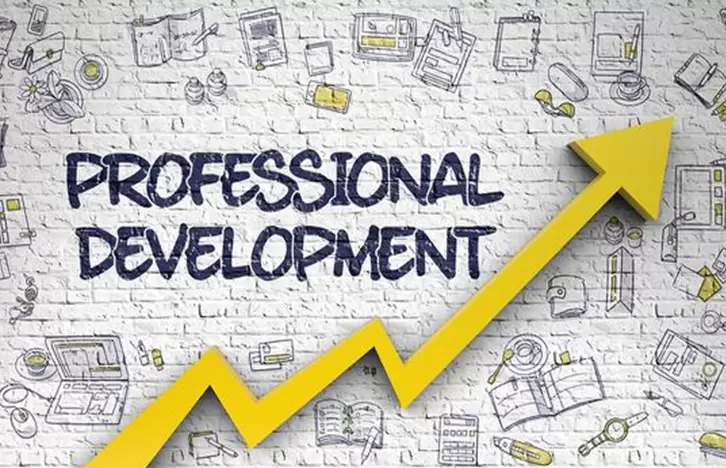 Professional Development,Diversity, <span>Equity and Inclusion in the</span>