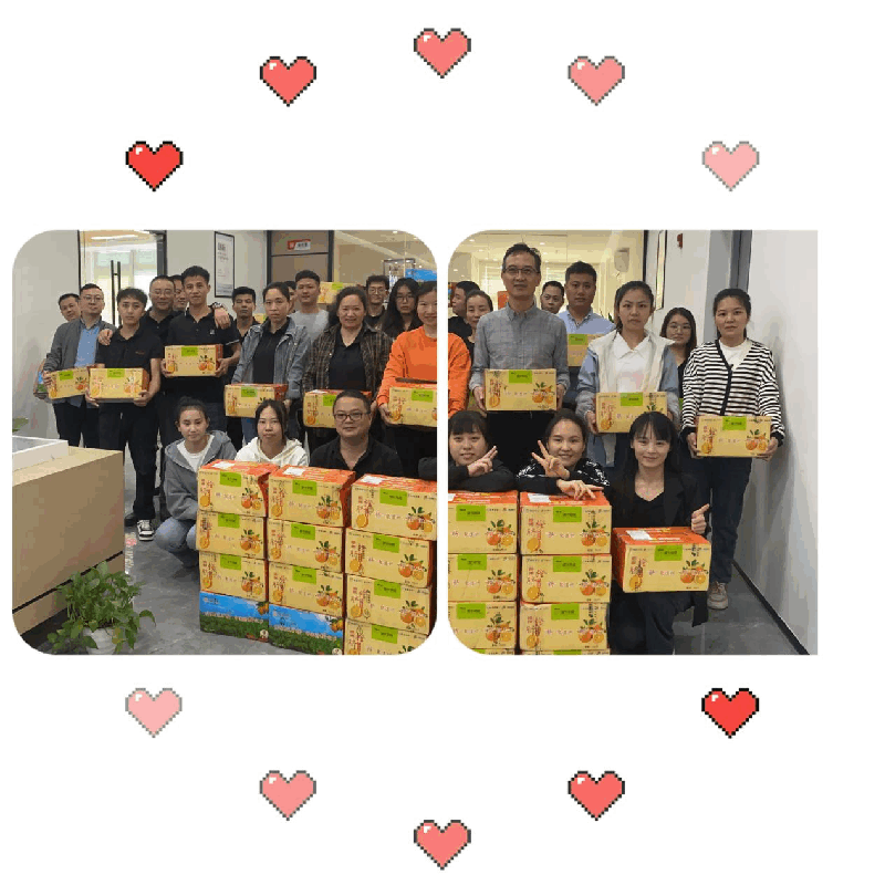 Enjoy the sweet moments of Daozhou navel oranges during the heavy snow season