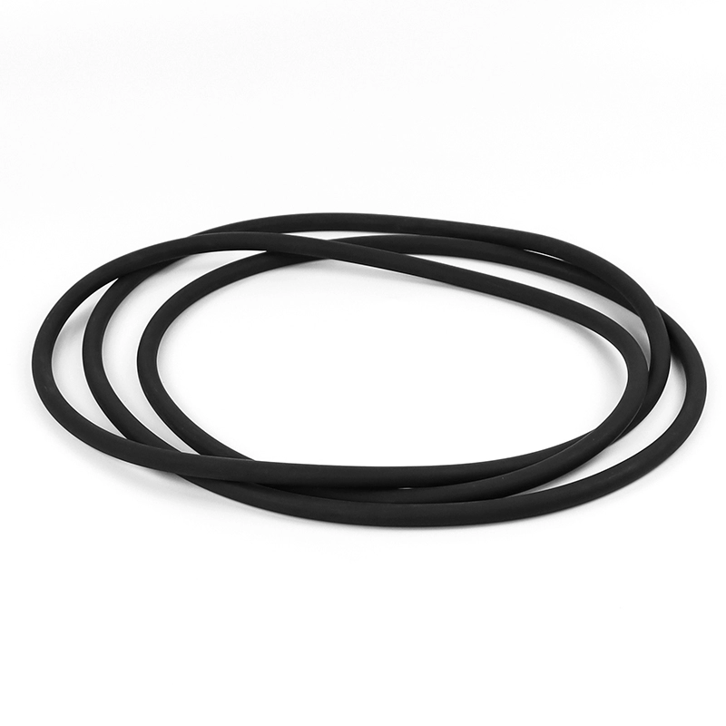 600MM Diameter FKM O Ring for ALD Small Cavities