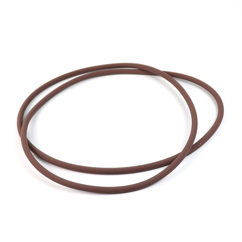 200MM Diameter FKM O Ring for ALD