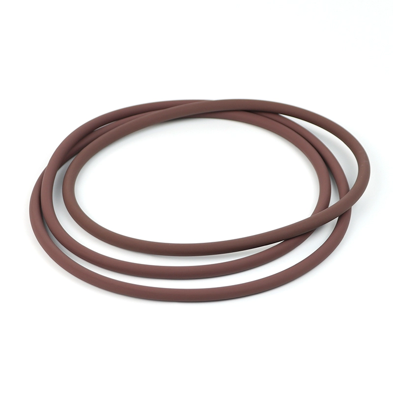 300MM Diameter FKM O Ring for ALD